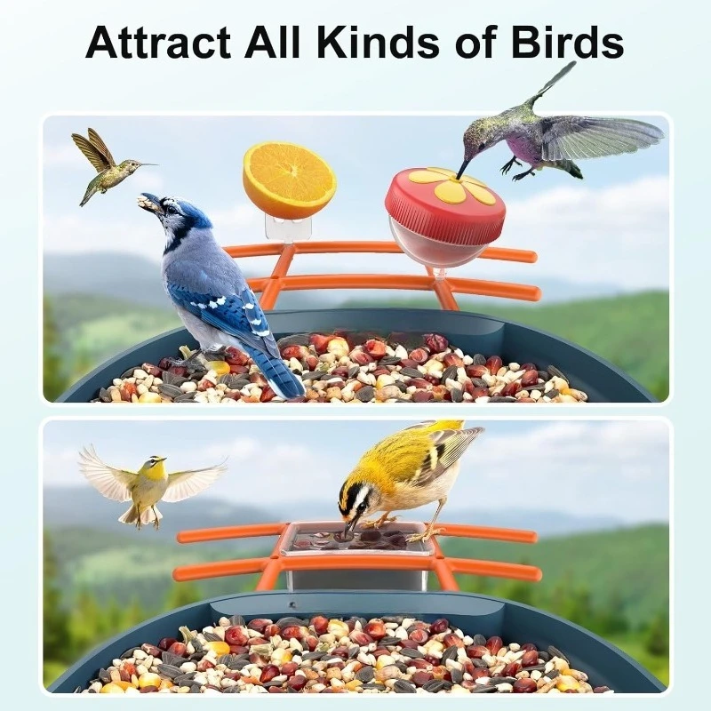 وحدة تغذية PAV-Bird مع كاميرا 2K HD، بطاقة 64 جيجابايت، AI تحديد أنواع الطيور بيت الطيور الذكي مع كاميرا تعمل بالطاقة الشمسية،