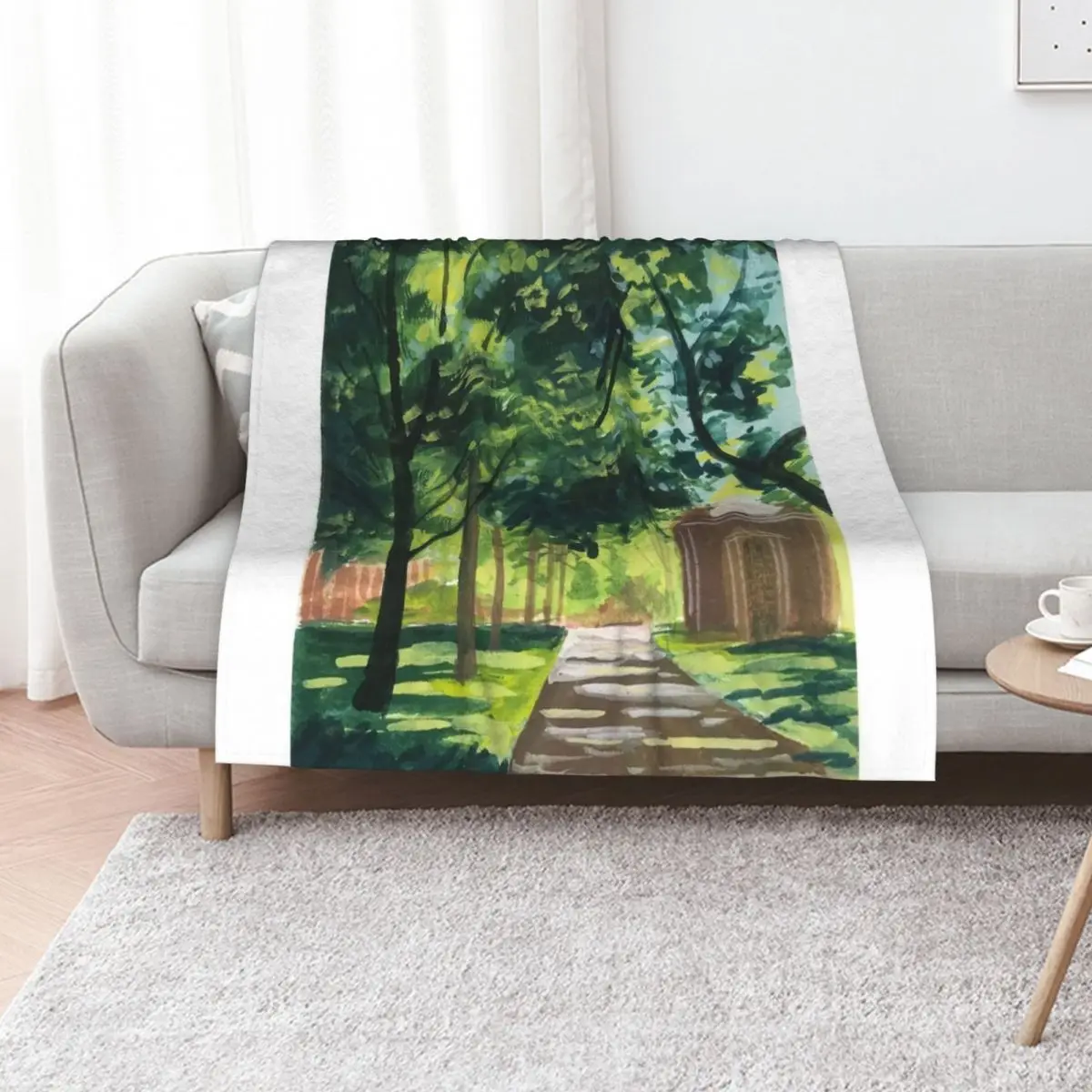 

A Walk Through Yale Throw Blanket Hairy Cute Plaid Designers Thins Blankets