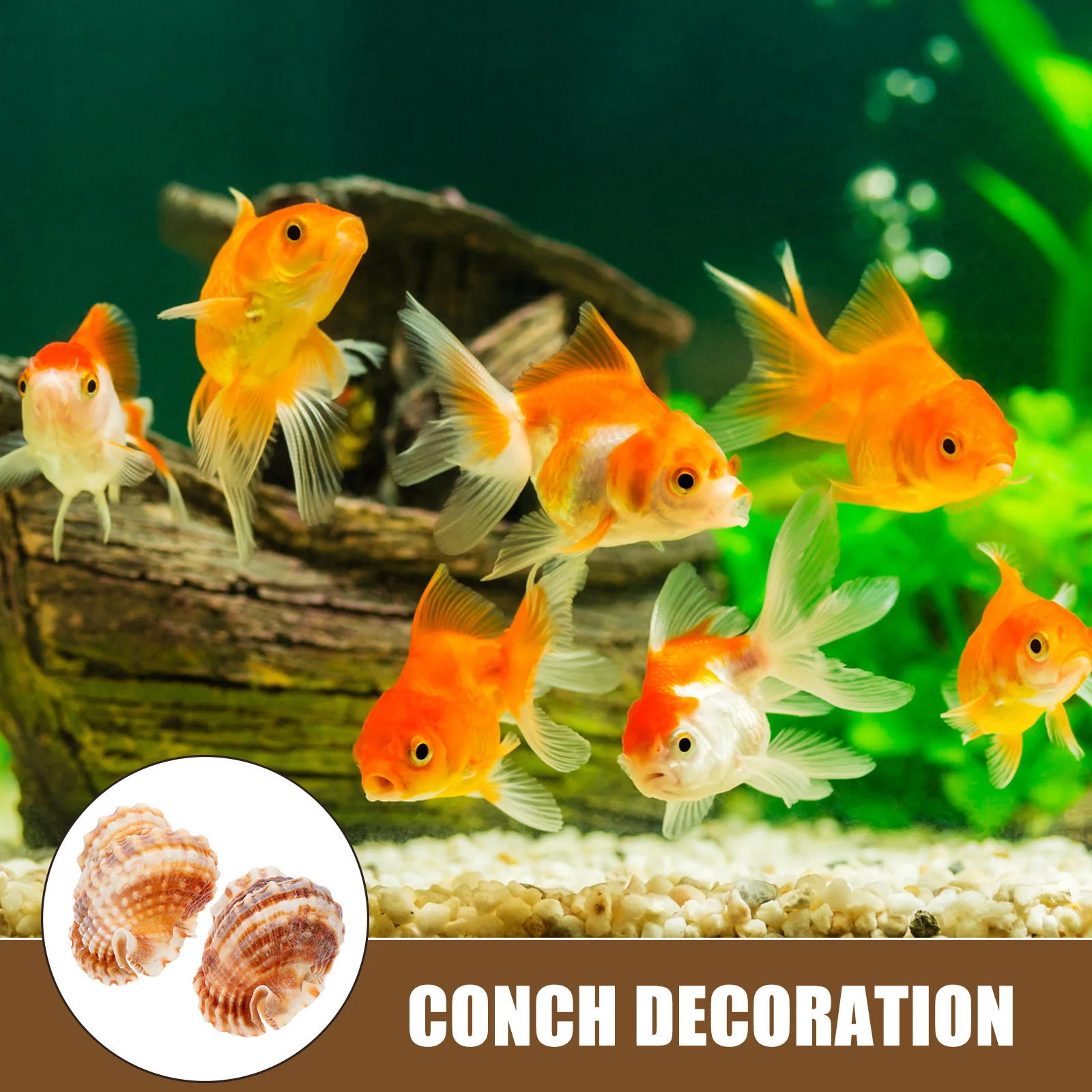 

2Pcs Decorative Natural Conch Sea Shell Ornament Aquarium Fish Tank Decor DIY Craft Pendant Home Table Decoration