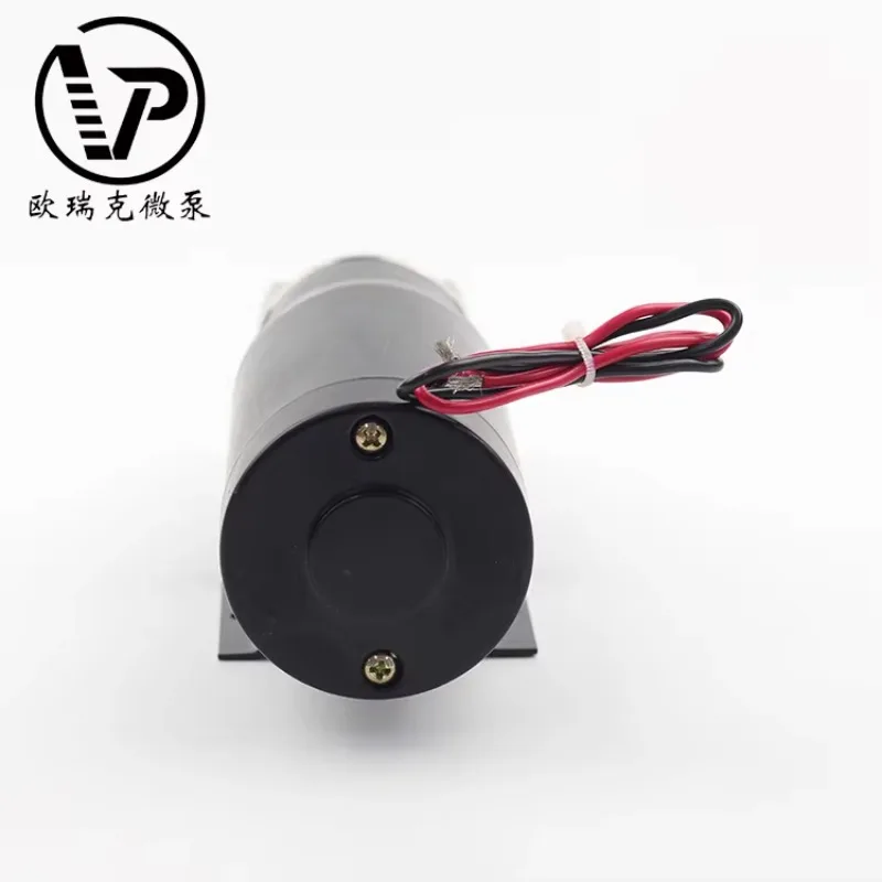 Pompa a ingranaggi magnetiche ad alta pressione mini piccola micro 5 bar 3000 giri/min