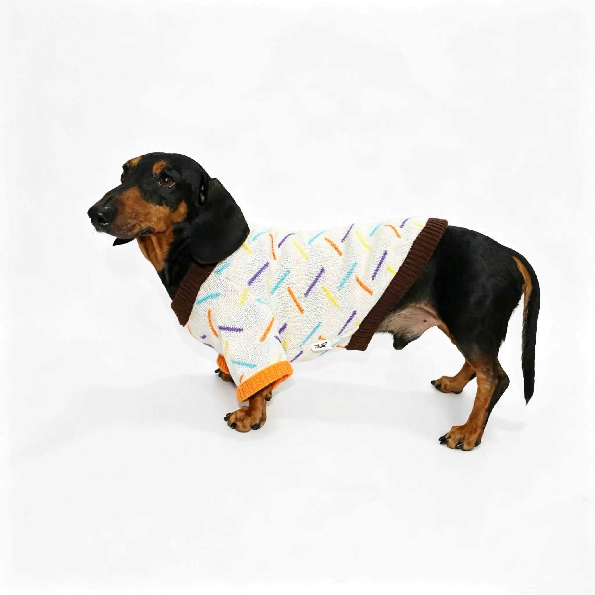 Wiener Dog trui, warme winterjas voor windhonden, berenblauw, korte mouwen, herfsttrui, jumpsuit voor dachshonden.