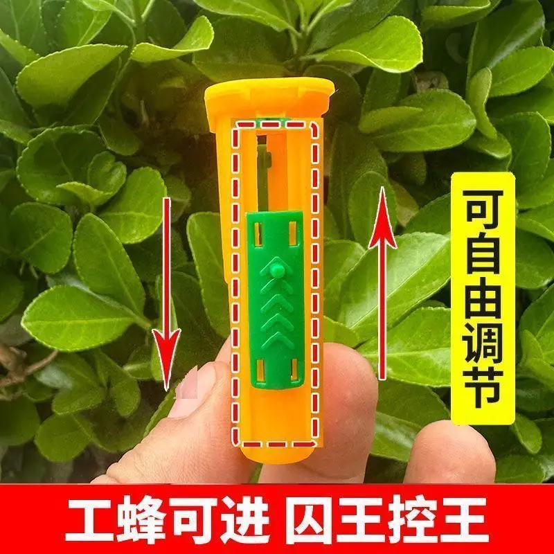 Multifunctional Prisoner King Cage, Prisoner  Device, Italian Bee Plastic  Box, Anti-honey Queen Bee Escape