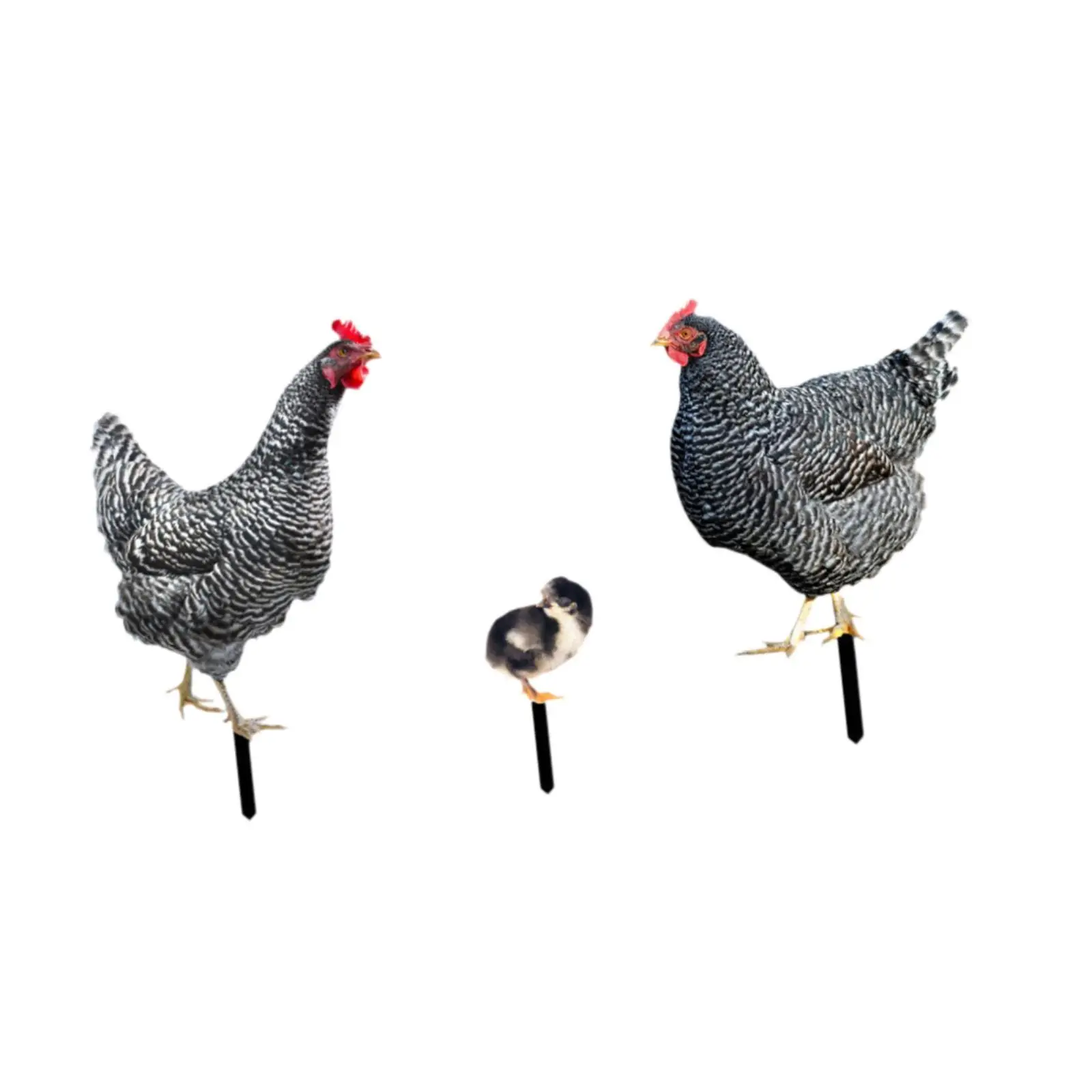 

3x Chicken Statues Garden Stakes Chicken Figurines Ground Insert,Lifelike Yard Art Animal Sculptures for Farmhouse Pathway