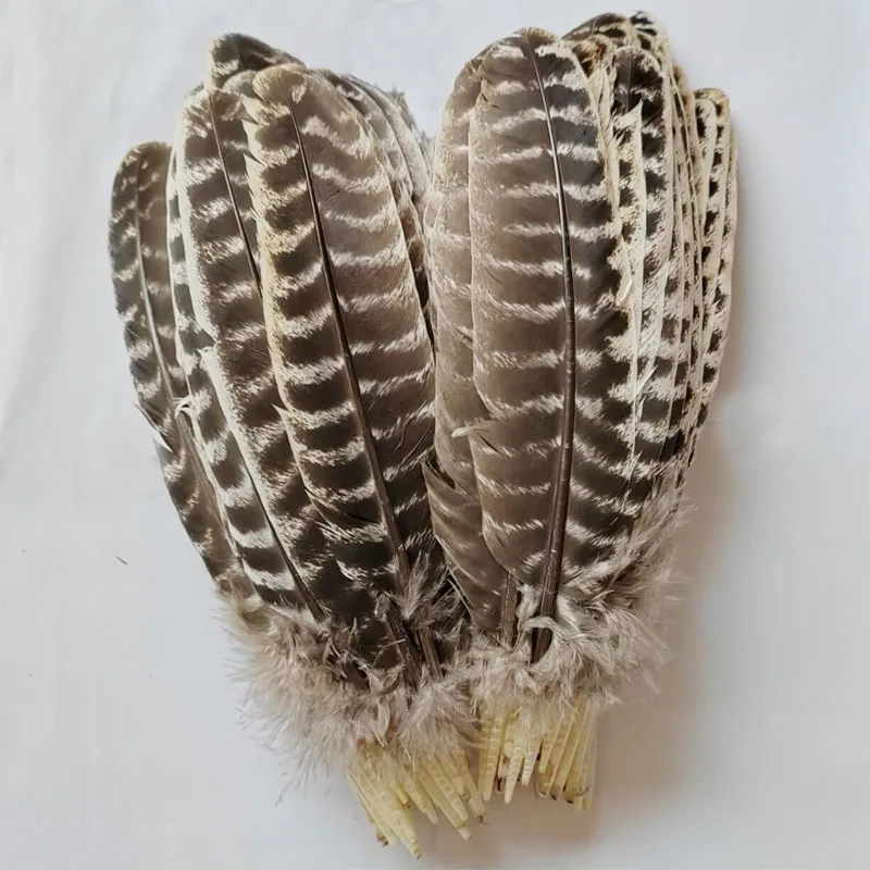 Wild Turkey Feathers,100Pieces-NATURAL BARRED Wild Turkey Wing Round Quill Feathers,Turkey Square Quills,Feathers Decoration