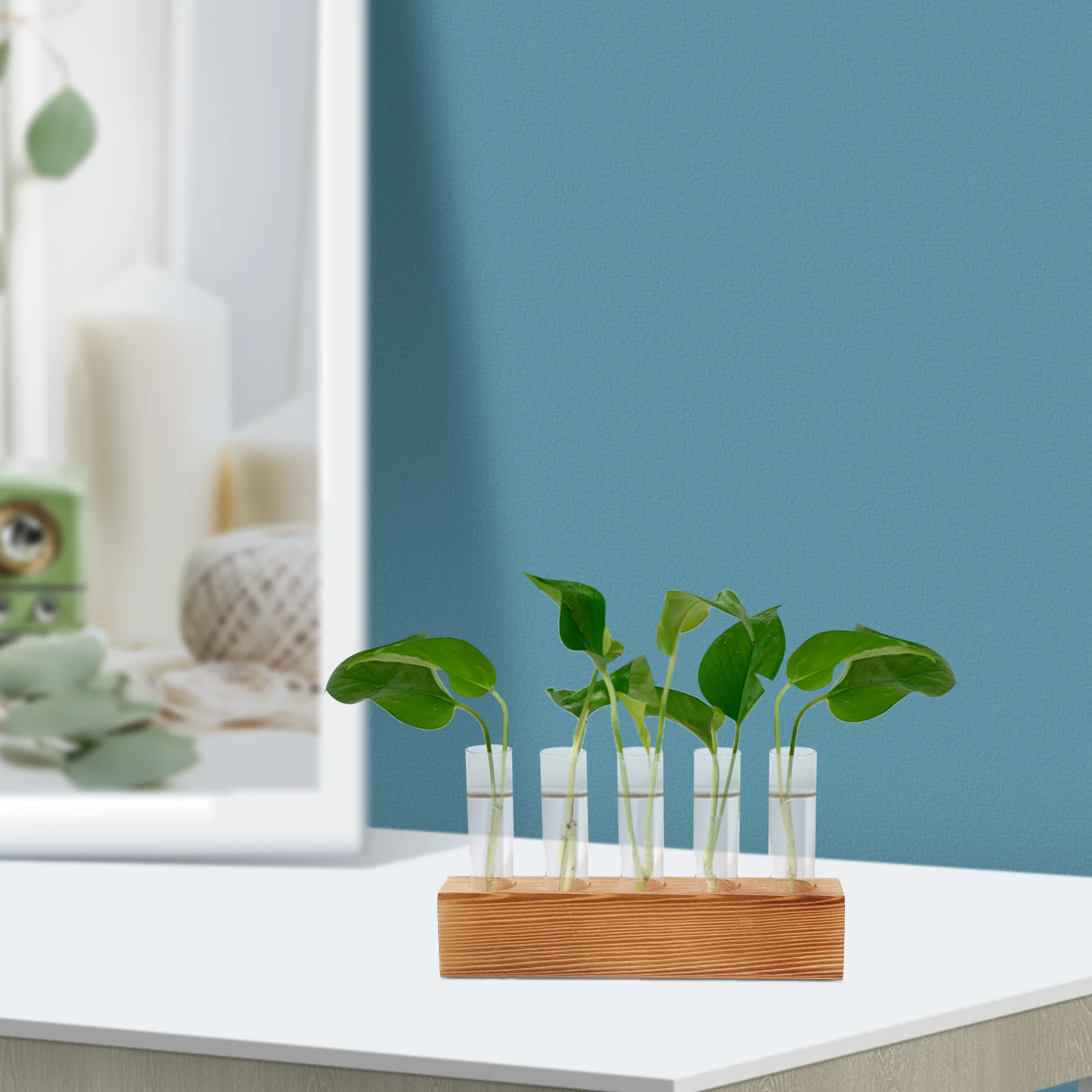 

Hydroponic Vase Glass Planter Clear Holder Air Plants propagation stations plant holder propagation vase test tube vases glass