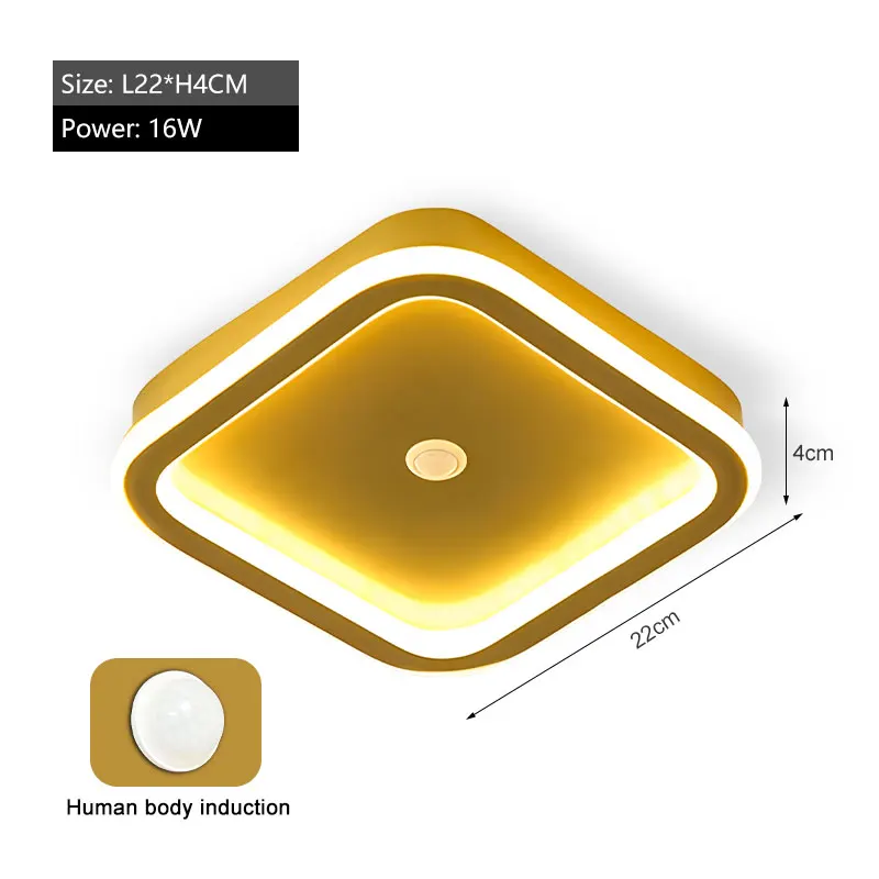 Zwart PIR Bewegingssensor Plafondlampen voor Slaapkamer Woonkamer AC85-265V Indoor Inductie Plafondverlichting Decor voor Gang Gangpad