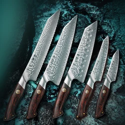 HEZHEN 1PC or 5PC Kitchen Knife Set 73 Layers Composite Damascus Steel Beautiful Gift Box Chef Cutery Utility G10 Handle