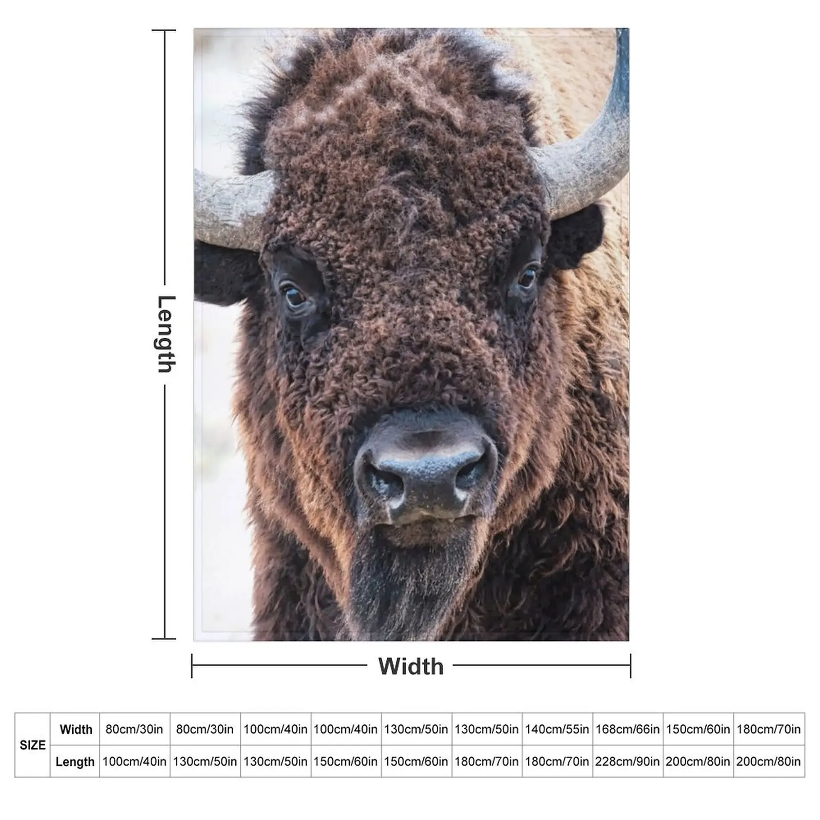 American Bison - A Living National Treasure Throw Blanket Cute Plaid Bed linens Shaggy Moving Blankets