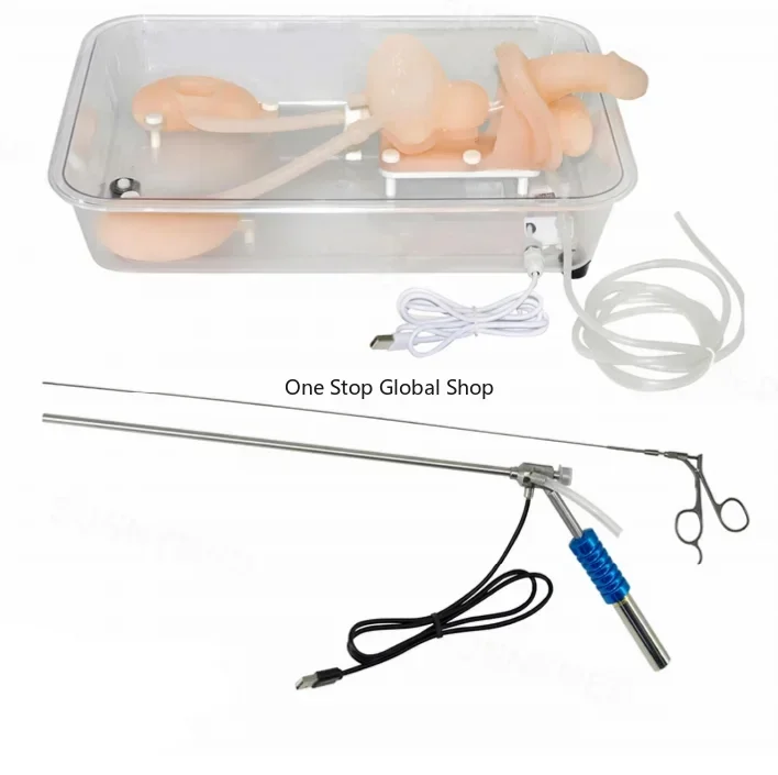 2025.4 SY-NS12 High Simulation Simulation Stomach Adult 1 To 1 Ratio For Teaching Ureteroscopy Training Model