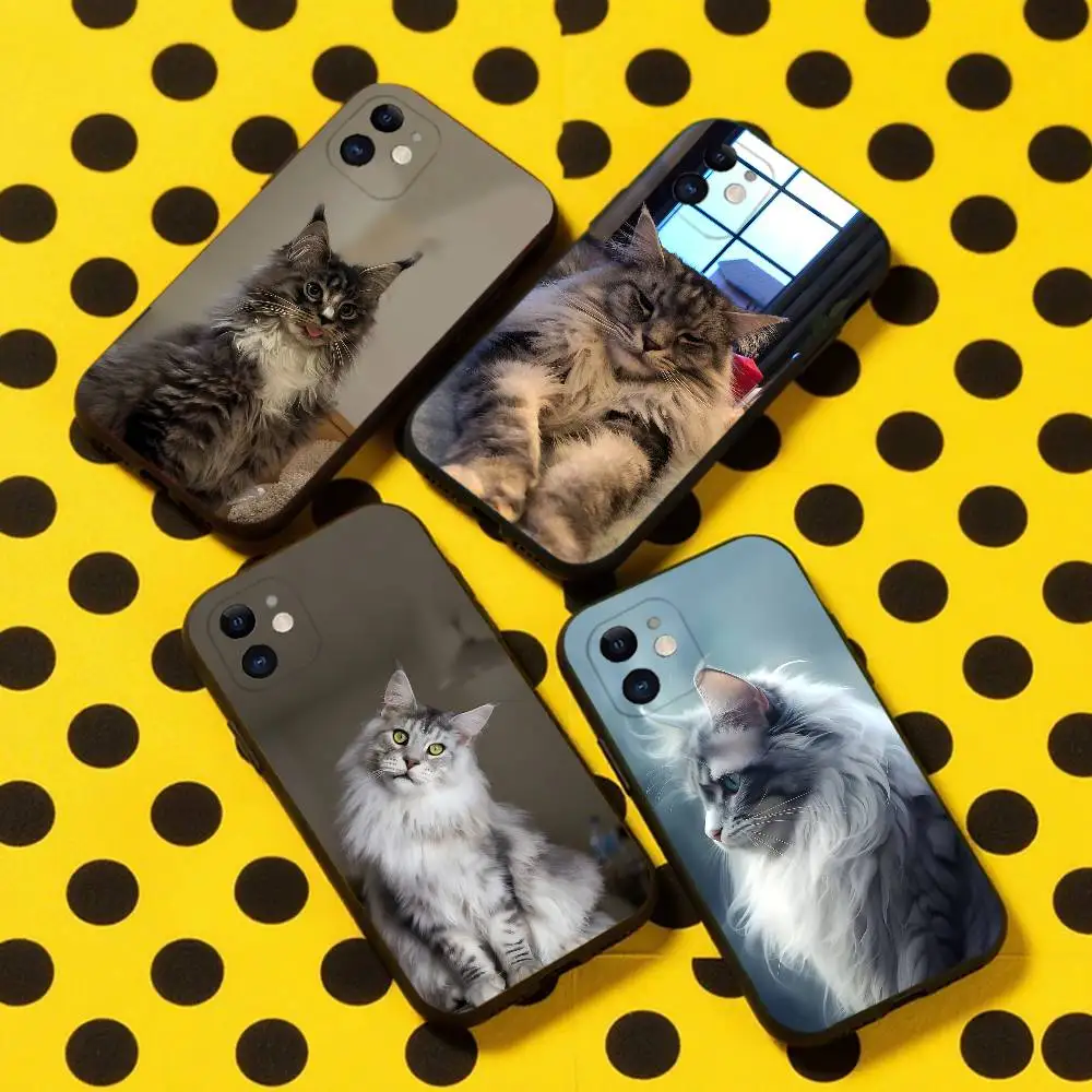 

Maine Coon Cat Phone Case For iPhone 16,15,14,13,12,11,Pro,Max,Plus,X,XS,XR,SE,8,7,Mini,Soft Silicone Black Case