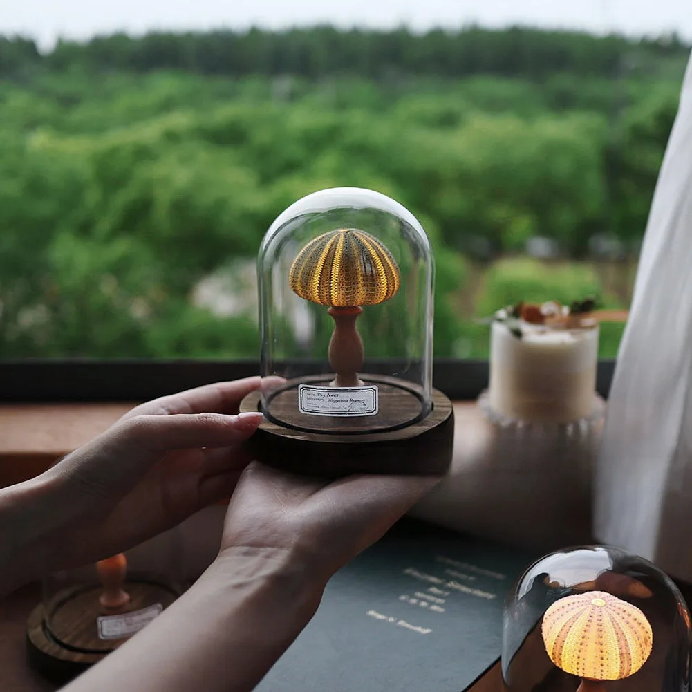 DIY Sea Urchins Night Light Mini LED Lamp Soft Lighting Flicker Free Nightstand Lamp Creative Home Decor Great Present Idea