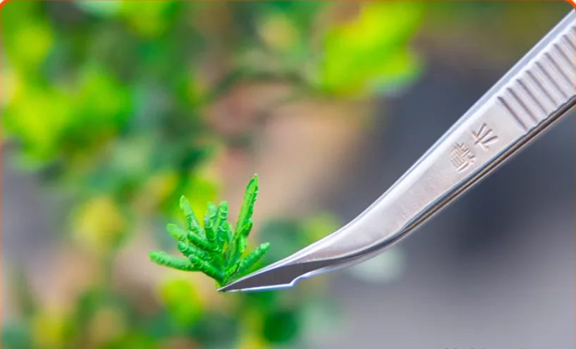 Stainless Steel Bud Trimming Tweezers with Cutting Tip - 180mm