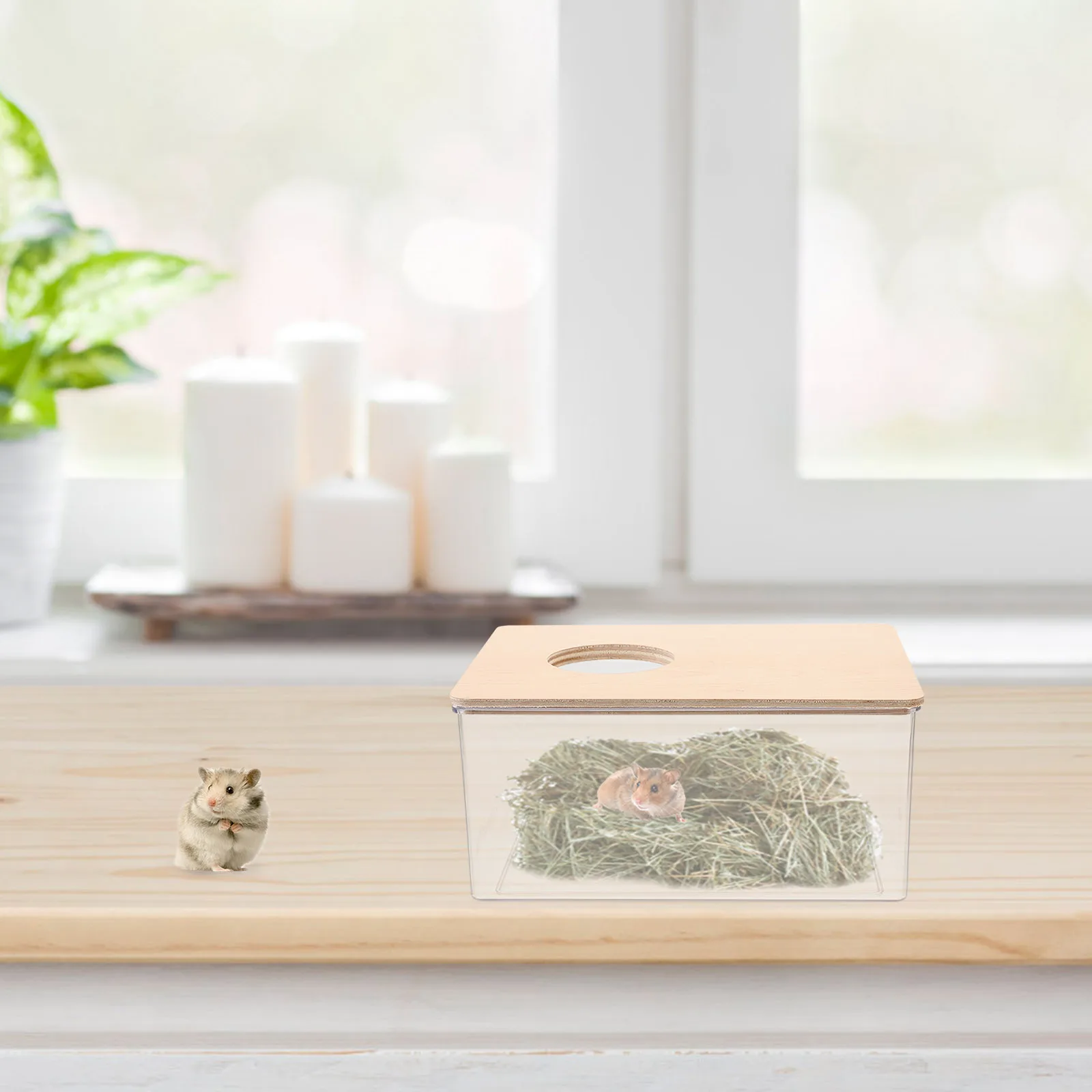 

Box Transparent Small Pet Bathroom Cage Accessories Chinchilla Bathtub Reusable Sand For Hamster Guinea Pig Gerbils Cage Sand