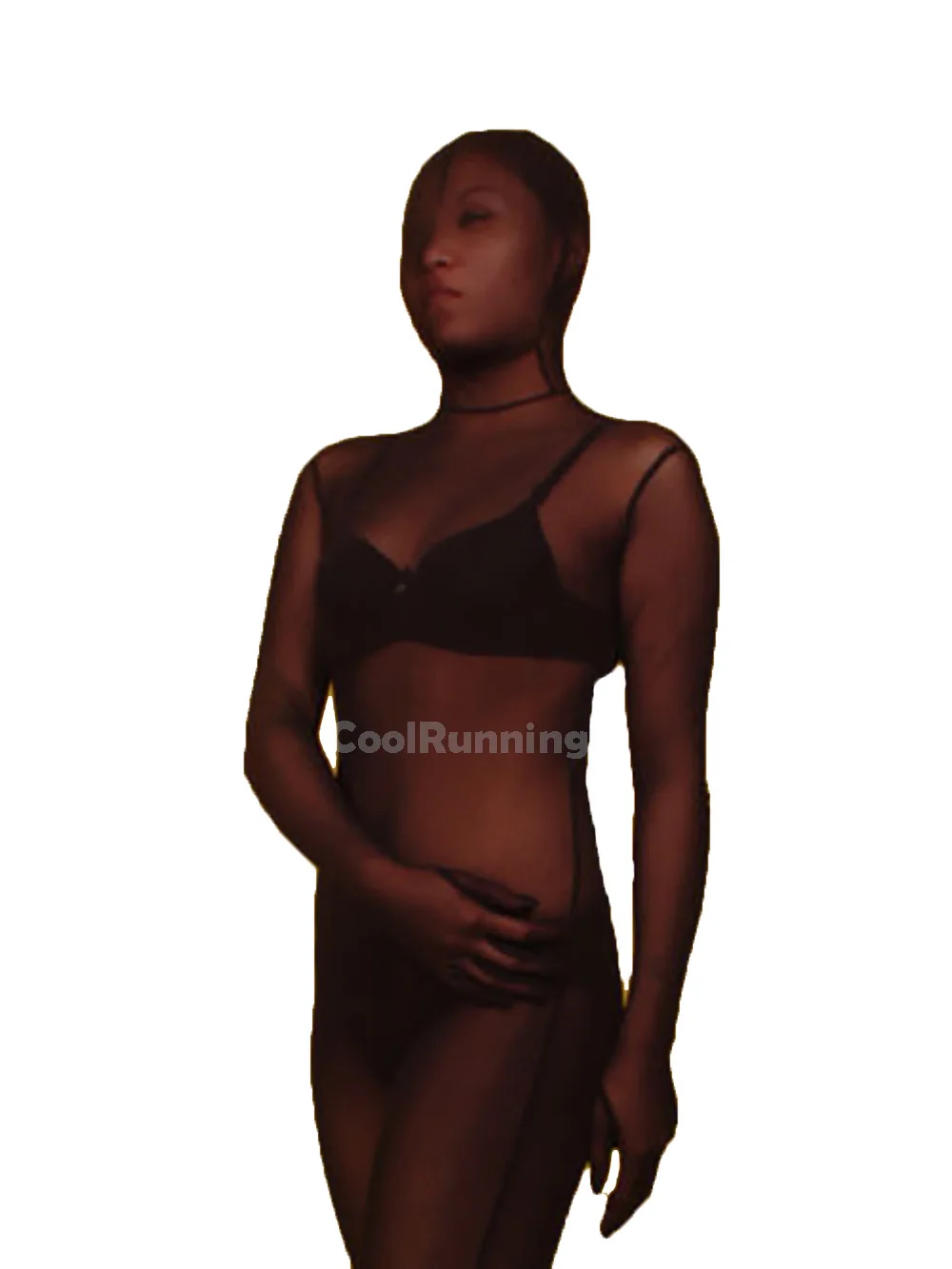 Sexy Transparent See Through Silk Bodystockings Spandex Zentai Costume Jumpsuit