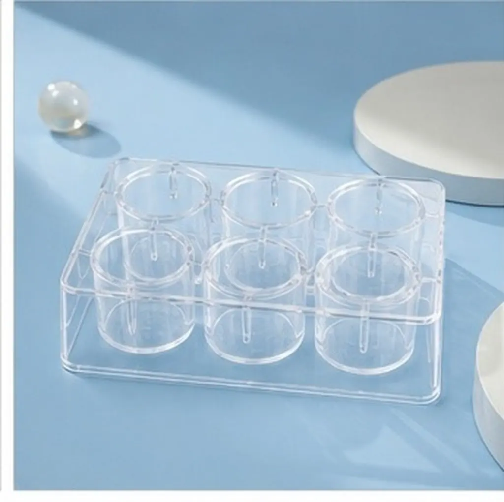 10Pcs Reaction Plates High Quality Plastic Experiment Boards 6 Hole Multifunctional Well Plates Laboratory Supplies Chemical