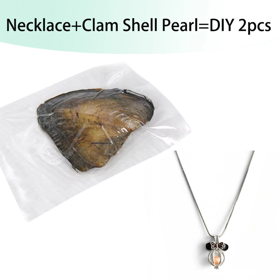 Charm Shell Pearl Box Pingente Coração Pingente Colar Pérola Natural Para Mulheres Moda Corrente Conjunto de Jias Presente Criat