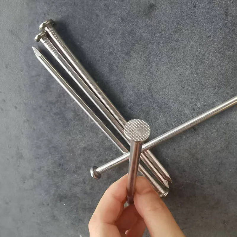 6 Inch Long Nails for Wood 5-50Pcs Stainless Steel 304 Nails Wall Nails Dowels Common Nails Flat Nails Wood Nails