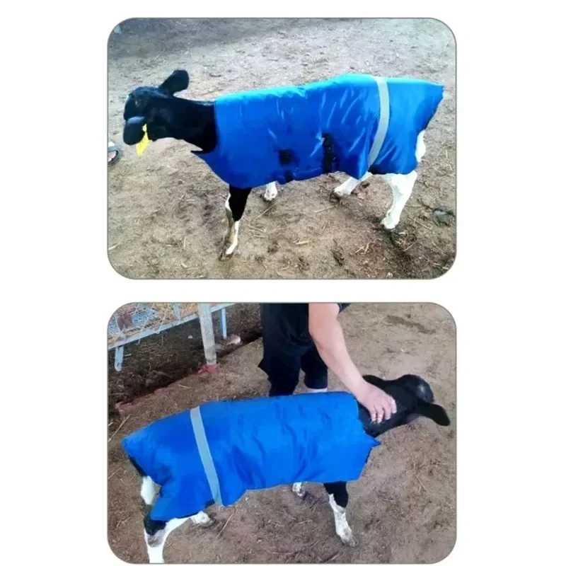 Calf Vest Calf Cold protection Coat Thermal Suit Livestock Oxford Fabric Coat Wind-Proof and Water-Proof Calf Warm Clothing 1 Pc