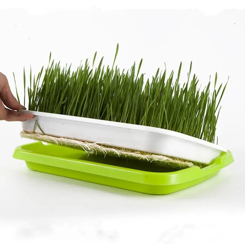 Sprouting Tray Box Pea Bean Wheat Cat Grass Seedling Germination Planting Soilless Hydroponics Nursery Plate Seed Sprouter home