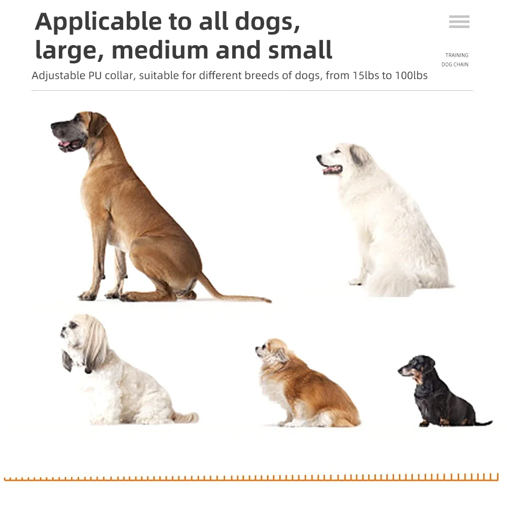 Thumbnail 4 - #63 Latest Dog Training Collars Offers