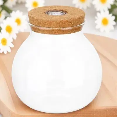 

LED Light Fish Tank Ecological Bottle Glass Micro Landscape Bottle Borosilicate DIY Plant Terrarium Simple Plant Terrarium