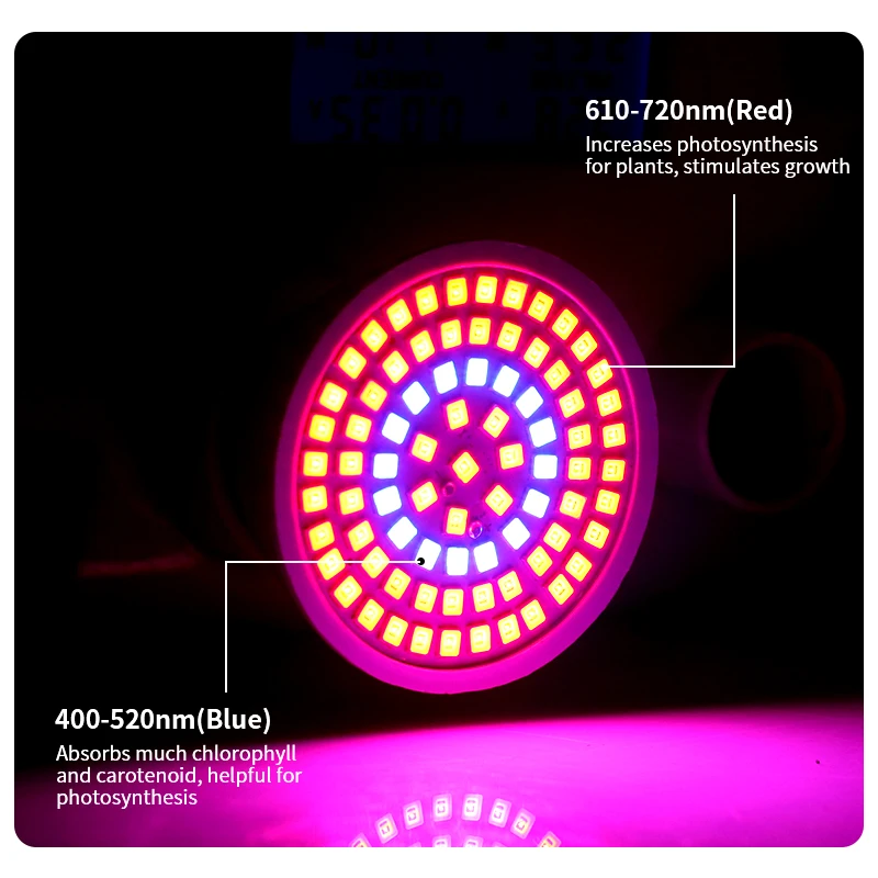 Full Spectrum Led Grow Bulb E27 E14 GU10 MR16 220V Hydroponic Growth Light 48 60 80Leds Flower Plant Hydroponic Growing Lamp