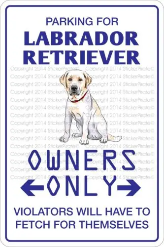 *Aluminum* Parking For Labrador Retriever 8