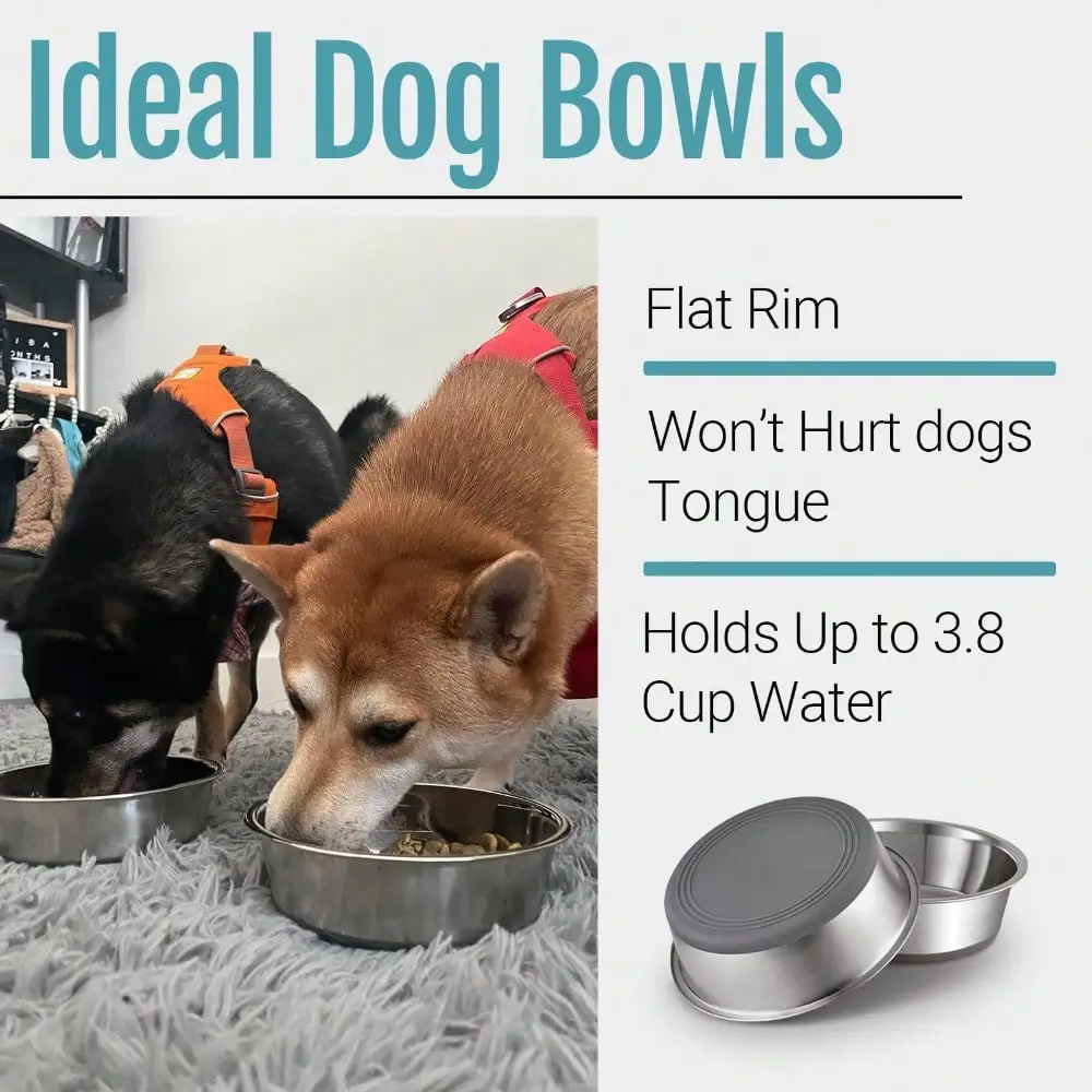 

2 Pack Non Slip Stainless Steel Dog Bowls 3.8 Cup Capacity For Food Water Feeding