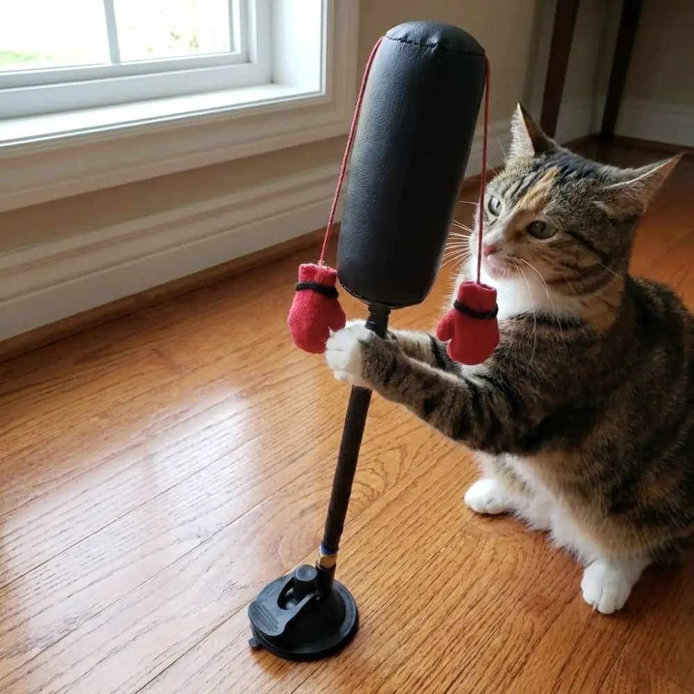 Suction Cup Cat Boxing Toy Self-standing Scratch Trainer Interactive Cat Toy Bite Resistant Scratch Resistant Cat Boxing Game