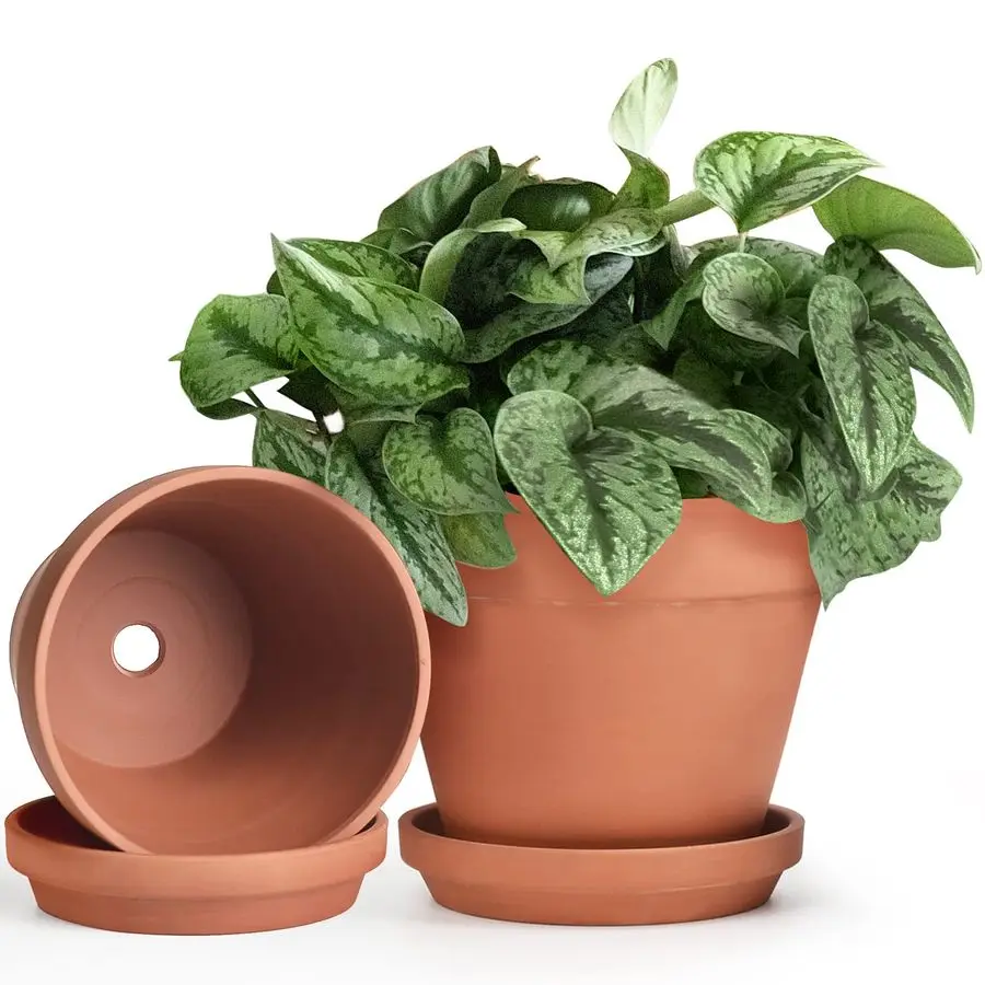 

INGOFIN Terracotta Pots Set with Saucer 2Pack Ceramic Clay Planters with Drainage Hole, Garden Flower Succulent Pots with Tray