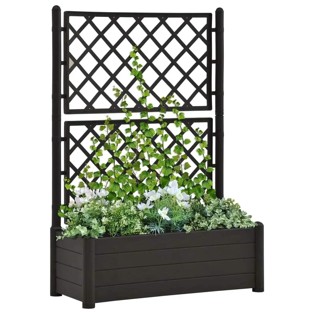 

39.4x16.9x55.9 Garden Planter with Trellis - Durable PP in Anthracite Color