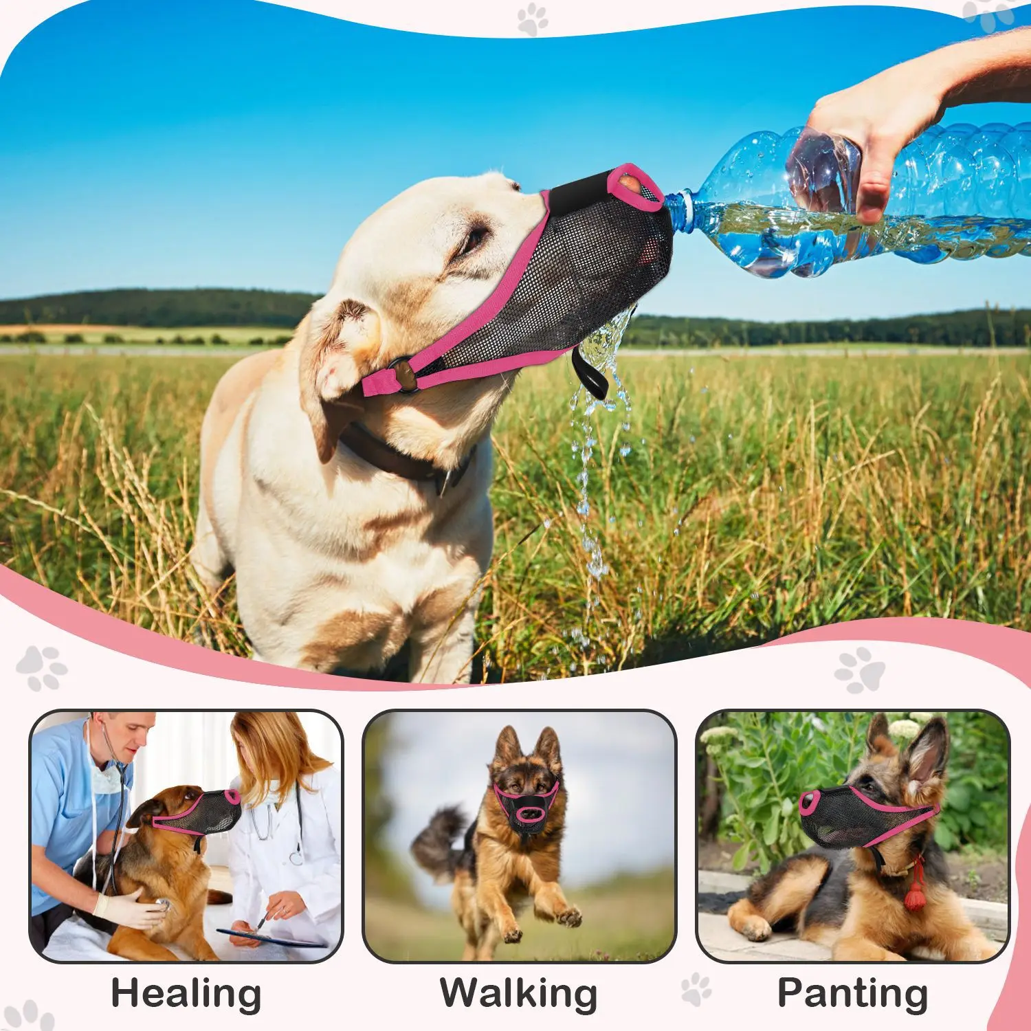 Pet Dog Muzzle Mask Preventing Random Eating Calling Biting 