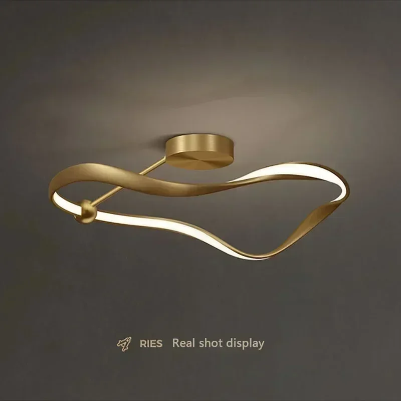 

Minimalist Led ring Ceiling Lights curved line lamp for Bedroom study Living Dining Room Restaurant Nordic Luxury smart lamp