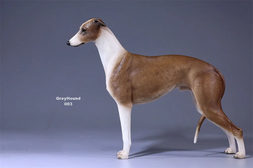 JXK GD001-6 14x5.5x17.5cm 1/6 Scale Lingti Greyhound WHIPPET Mini Simulated Cute Pet Dog Ornament Trendy Toy Figurine Model view 4