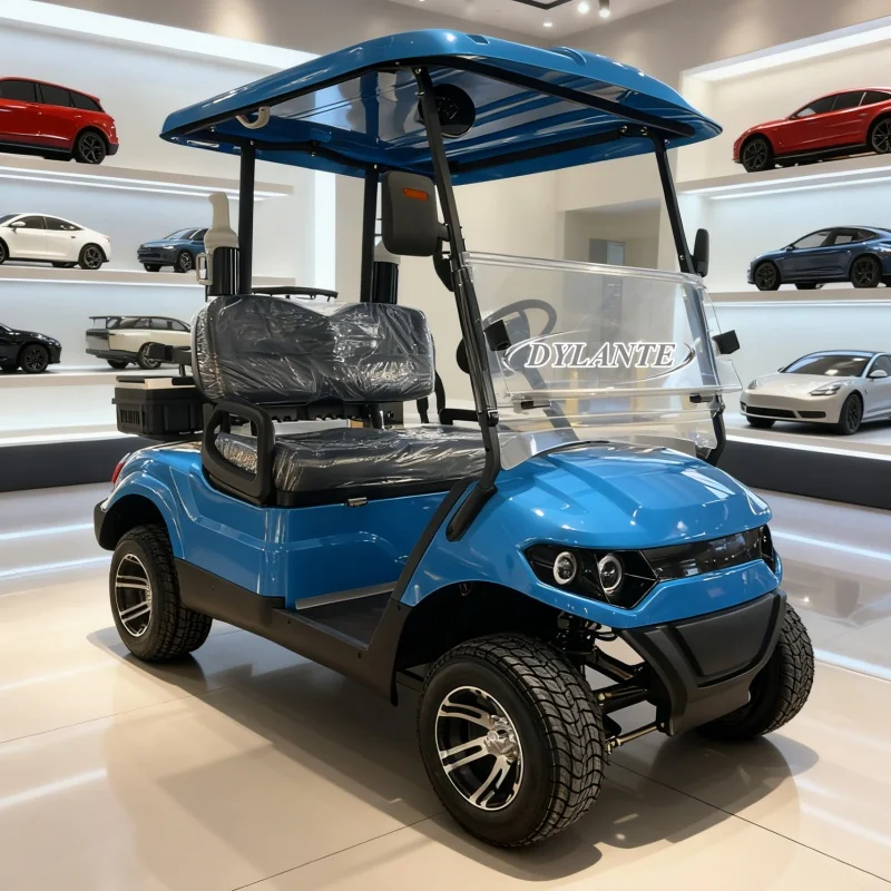 العلامة التجارية الجديدة 2 مقاعد 4 الصين مصنع مخصص نادي السيارة بطارية تعمل بالطاقة عربة جولف 48 فولت 72 فولت مع مزدوج سوينغ الذراع فرامل قرصية
