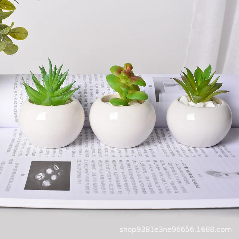 Simple Succulent Flower Pot Plant Potted Mini Round Ceramic Pot Home Decoration Green Plant Small