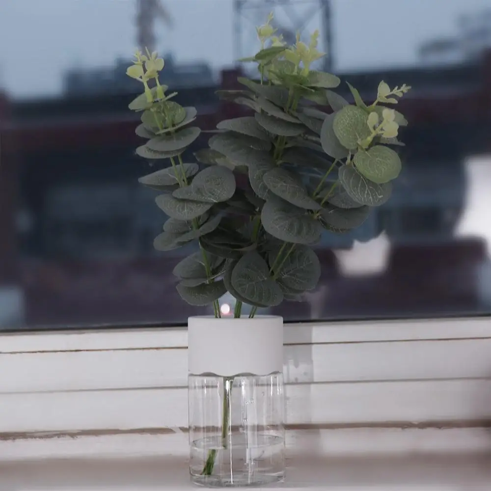 صناديق الزراعة أواني النباتات المائية البلاستيكية شفافة بيضاء المائية اناء للزهور دائري أنيق زراعة المياه زهرية حديقة