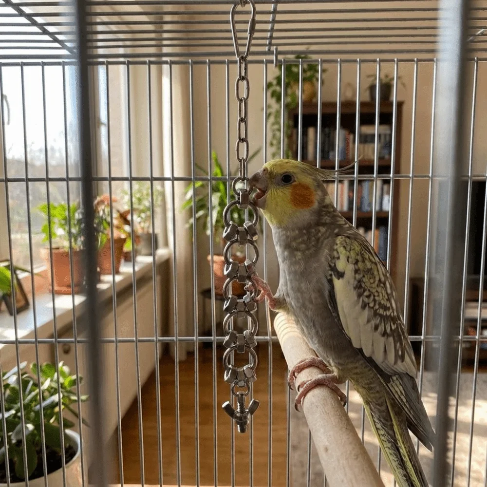 Stainless Steel Parrot Gnaw Wear-resistant Rust-Proof Parrot Bite String Bite Resistant Hanging Molar Cage Accessories
