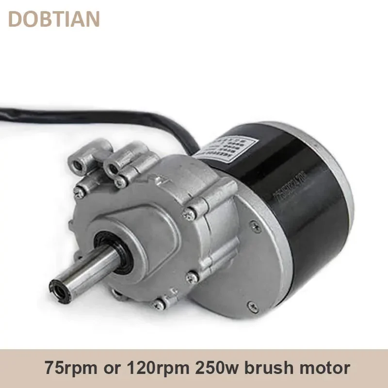 Silnik szczotkowy o niskiej prędkości 250 W, 24 V, 75 obr./min lub 120 obr./min, dłuższy wał o 44 mm, średnica wału 17 mm, wózek inwalidzki z silnikiem szczotkowym DC,