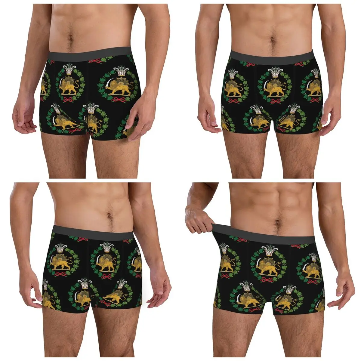 Boxer Underpants Shorts Iran Flag Emblem Persia Sun Lion Panties Men's Breathable Underwear for Homme Man Boyfriend Gifts