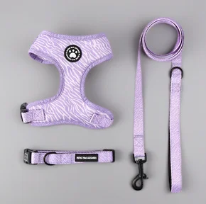 Adjustable Dog Harness And Leash Set Soft Chest Vest With Press Buckle Cute Print Comfortable Pet Harness Collar Lead For Dogs