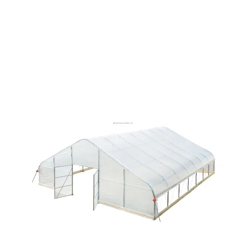 خيمة زراعة الدفيئة الزراعية عالية الجودة بإطار فولاذي وغطاء بلاستيكي EVA بسعر المصنع للبيع #3