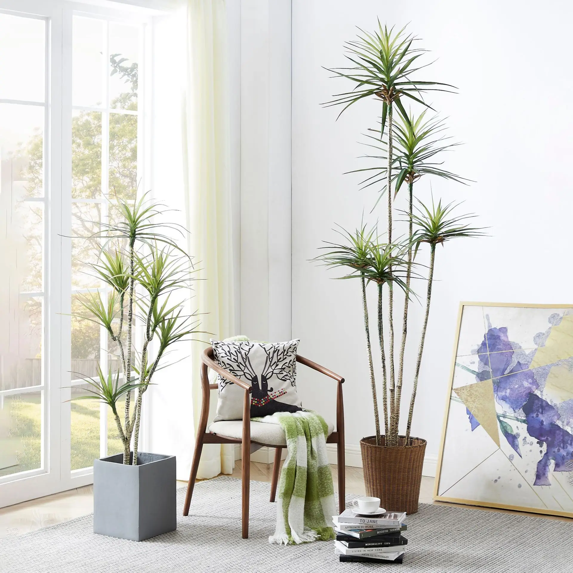 인공 플라스틱 화분 ​ 식물 드라세나 마르기나타 실물  - Dracaena Marginata 리뷰 및 가격