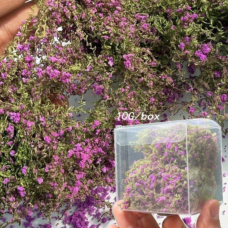 

10g/Box Simulated Vine Model Sand Table Vegetation Shelter Micro-Landscape Decoration Diy Train And Railway Layout Materials