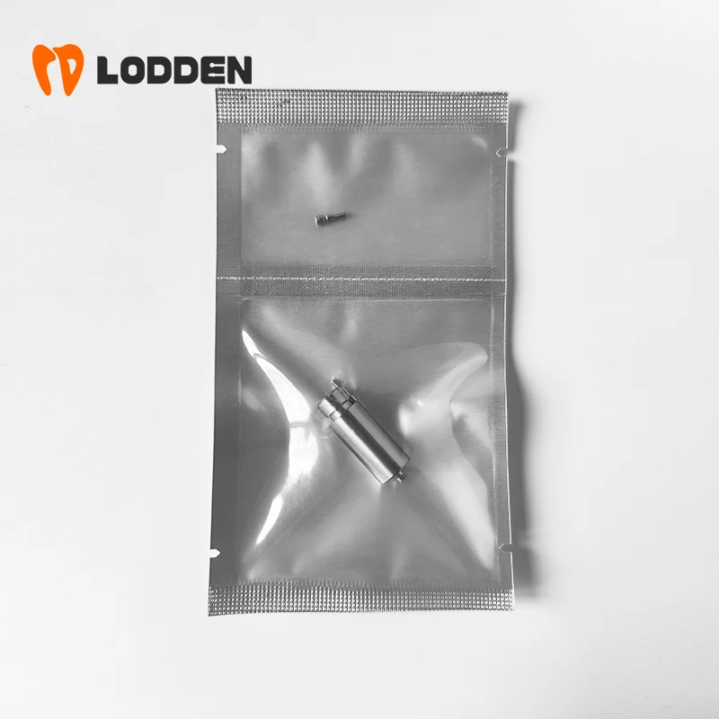 LODDEN Dental Premilled Implant Abutment CAD CAM 10mm Custom Titanium Blank Megagen Osstem Zimmer Dentis MIS Korean Department