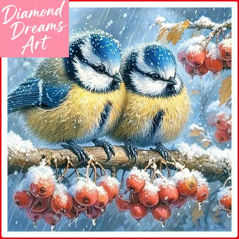 Frameless, DIY 5D Diamond Art Painting Kits Animal Bird Full