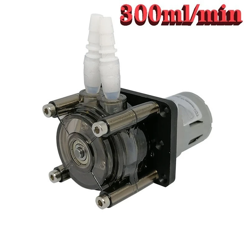 G300 Peristaltic Pump 300ml/min Small Flow DC Micro Hose Pump for Lab Liquid Extraction Industrial Filling Transfer Equipment