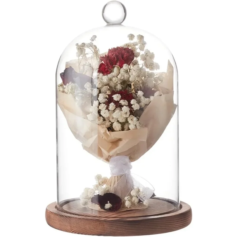 1pc 7x5 Inch Glass Dome Cloche with Wooden Base Rustic Bell Jar Display Clear Glass Bell Cloche for Plants Fairy Lights or Table