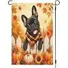 Fall Pumpkins Sunflower And Maple Leaves Garden Flag 12x18 Inch Outside Yard Porch Decoration Buffalo Plaid Dog French Bulld jjp