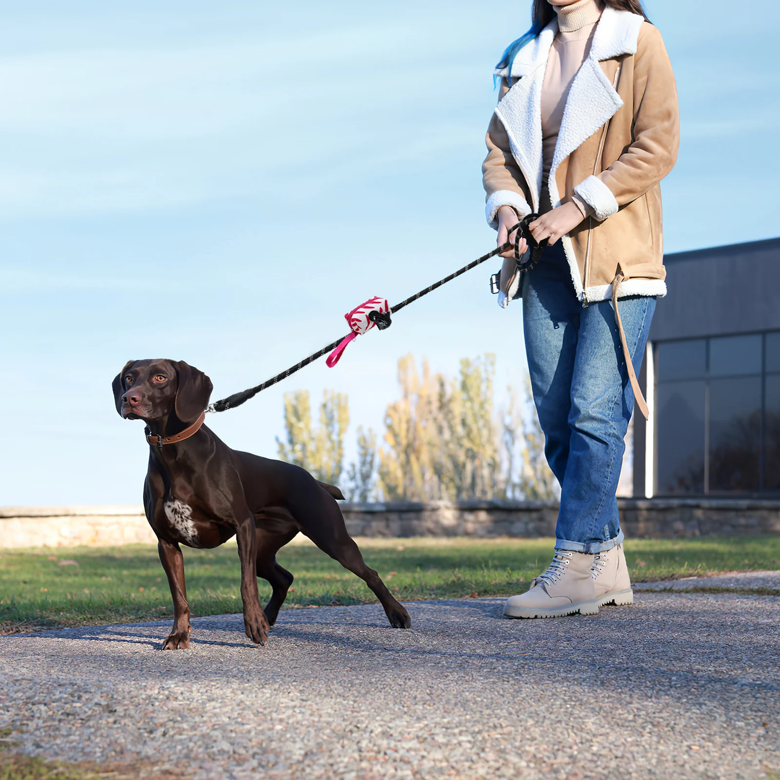 

1 Set Heavy Duty Nylon Dog Leash Thick Outdoor Pet Traction Rope Poop Bags Holder For Small Dogs Walking Training Collar Lead